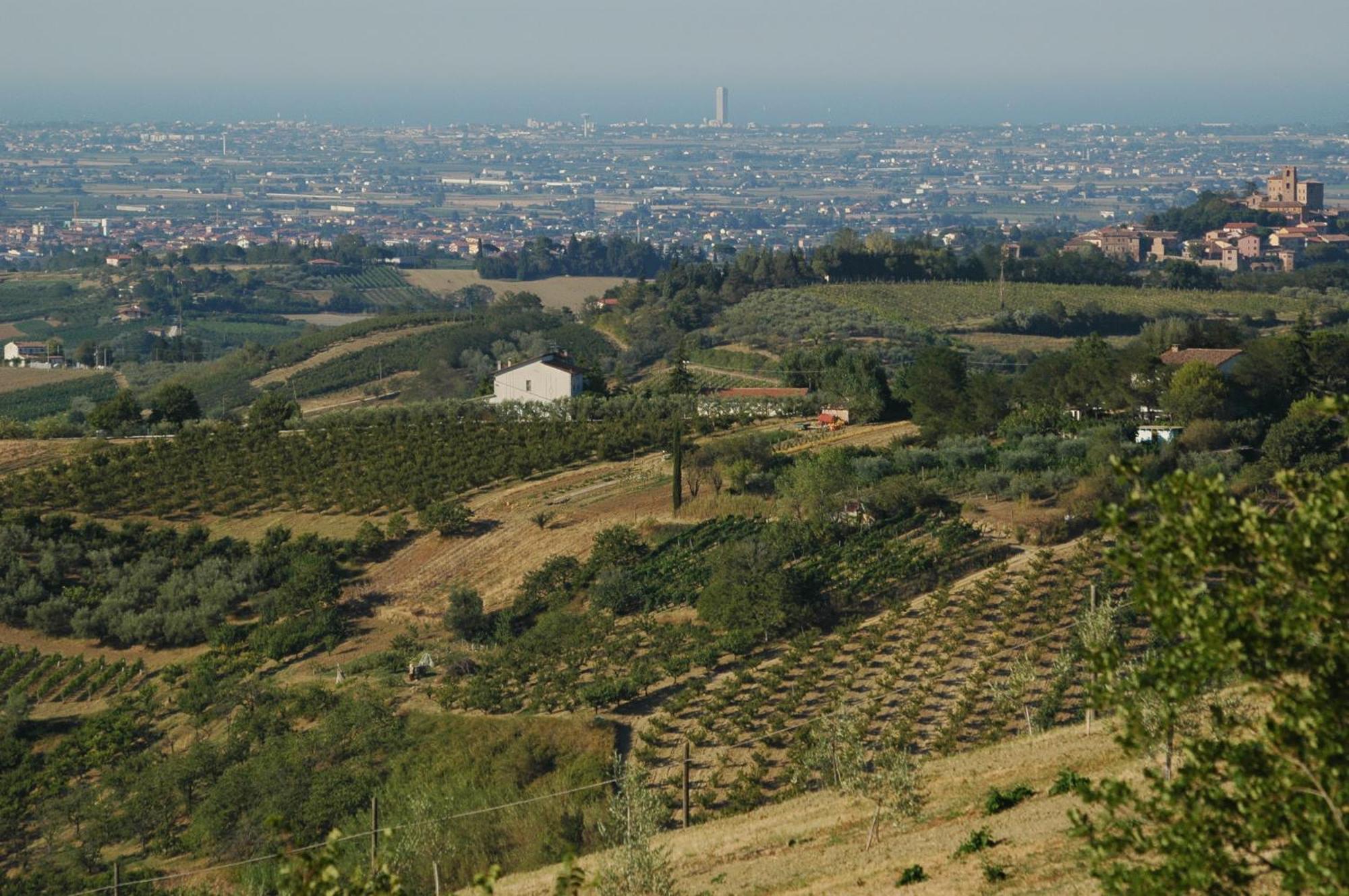 I Quattro Passeri Country House Santa Paola Exterior photo